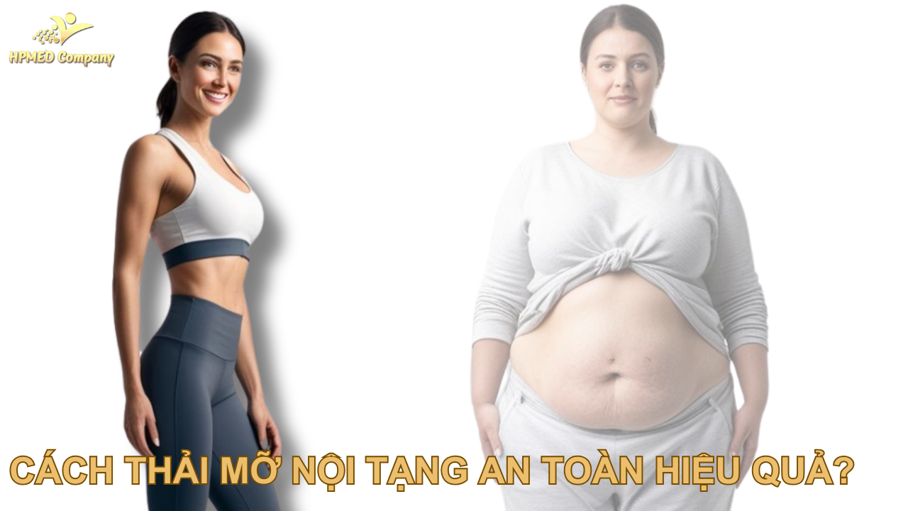 Giới thiệu về thải mỡ nội tạng